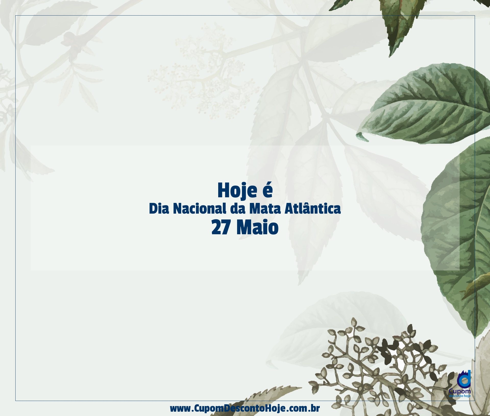 Hoje é Dia 27 Maio Dia Nacional Da Mata Atlantica Cupom Desconto Hoje