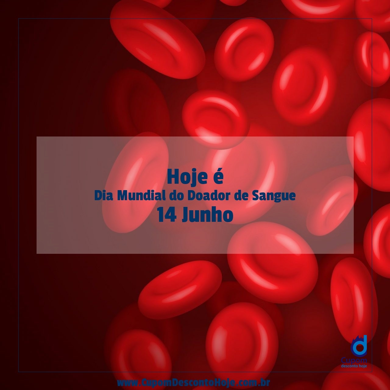  Hoje é 14 junho Dia Mundial do Doador de Sangue